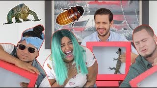 ¿Qué Hay en La Caja? / What´S In The Box Ft. Carlos Montesquieu, Killadamente Y Marcianotech