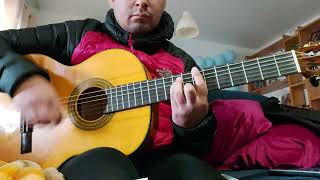 El Rey del regaliz - los delinquentes  guitarra