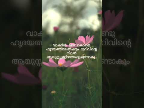 Unveiling the importance of Words and Deeds: Ravikumar vayyett Most Popular Quotes