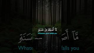 Download lagu Surah An-Nisa : 79 #islam #islam #quran mp3 Download lagu Surah An-Nisa : 79 #islam #islam #quran mp3