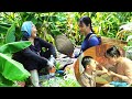 Harvesting And Trading Actions That Seemed Simple Helped Change Thuy S Life Ly Thanh Thuy