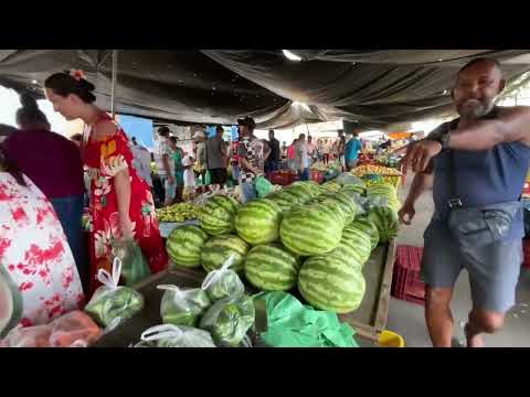 Feira Livre em Senador Rui palmeira - AL 23 - 12 - 2025 #nordeste