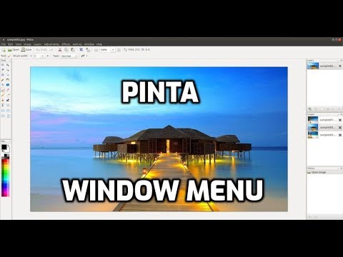 Pinta: Window Menu