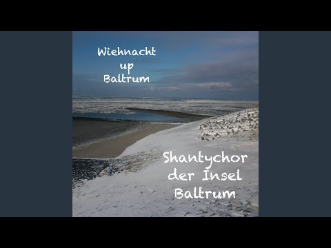 Weihnachts Hafenwache