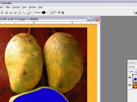 Learn about Tools in Photoshop CS3