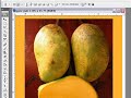 Learn about Tools in Photoshop CS3