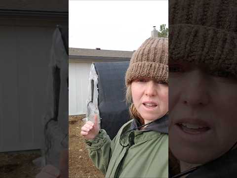 Spring Hotbeds & Rabbits: Tackling Unexpected Freezes