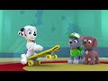 ESTREIA PATRULHA PATA T3 CANAL PANDA