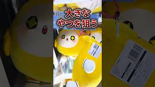 制限時間３０分でゲーセンの景品どれだけ獲れるかやったら事件起きたww