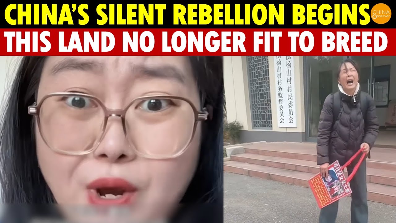No More Babies! China’s Silent Rebellion Begins, This Land No Longer Fit for Breeding