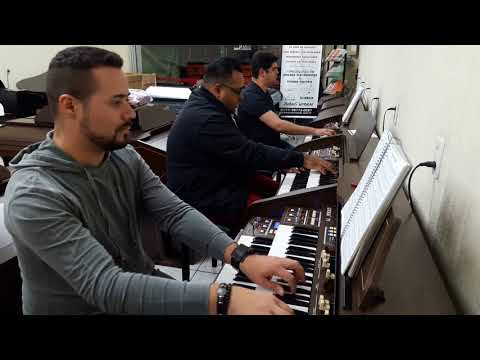 Orgãos Eletrônico Tokai T-1 / Tokai MD-750 / Tokai MD-20 - Loja Teclasom