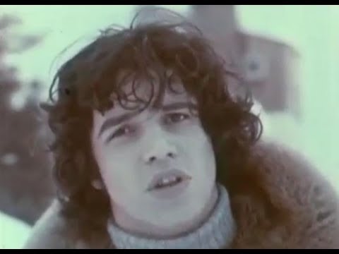 Yann Et Les Dauphins video