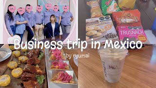 メキシコで出張｜20代OL｜腹が減っては戦はできぬ