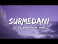 Surmedani (Lyrics) Jyotica Tangri & Noor hahal | 