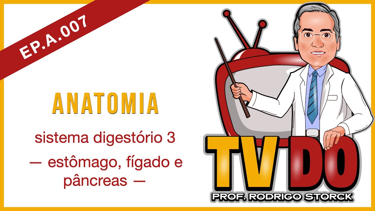 EP A 007 - Anatomia: sistema digestório 3 (estômago, fígado e pâncreas)