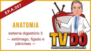 EP A 007 - Anatomia: sistema digestório 3 (estômago, fígado e pâncreas)