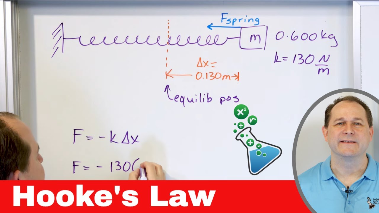 Hooke's Law, Springs & Elastic Forces in Physics
