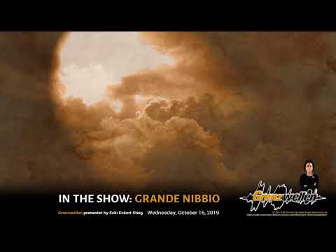 Berlin School - GRANDE NIBBIO from CODEX ON THE FLIGHT OF BIRDS by Sequentia Legenda