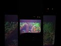 First Blood Scene Rambo Confronts Teasle