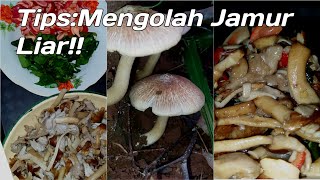 Download lagu Cara Mengolah Jamur Liar || Jamur Laos mp3