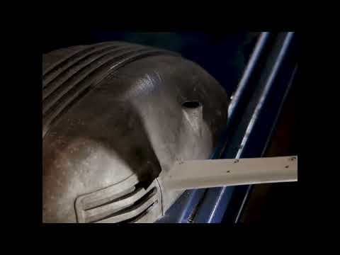 Kärcher ist in der Wolfs Garage. Trockeneisstrahlgerät IB 10/8 L2P