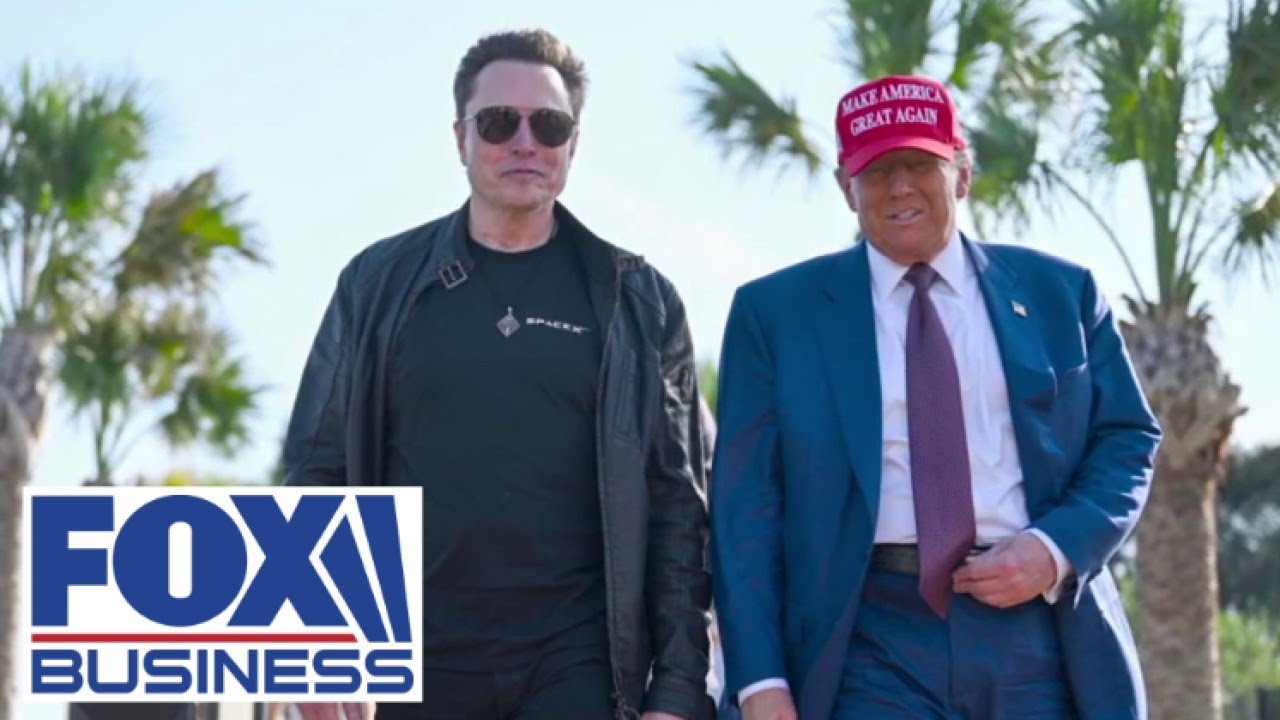 'TRUMP'S HAMMER': Elon Musk's moves are shocking eveyone