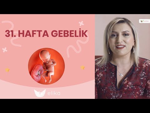 31 Hafta Gebelik - Gebelik Süreci - Elika Tv