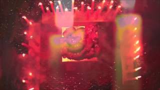 ACID BABY JESUS - "Vegetable" (Official Music Video)