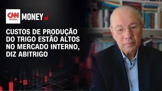 Vídeo: Custos de produção do trigo estão altos no mercado interno, diz Abtrigo | CNN AGRO NEWS