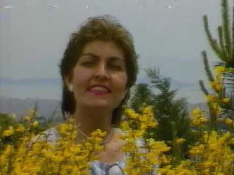 Aydın Tansel  & Şebgün Tansel - Che Sara & Ci Sara ( Orijinal Klip )