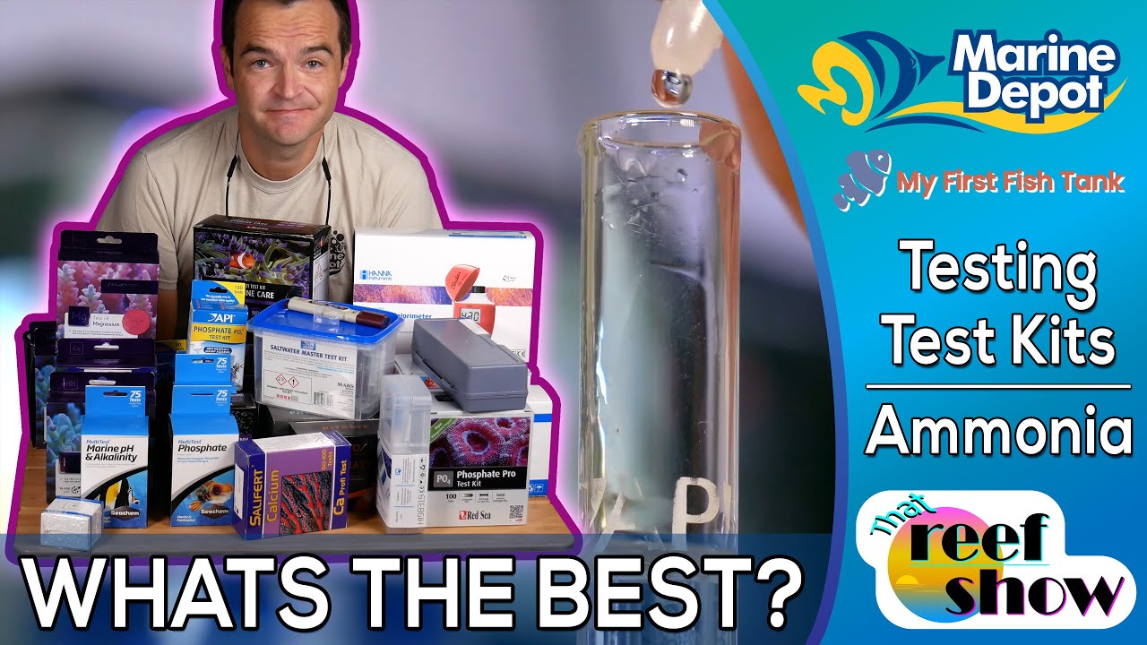 What's the Best Test Kit Testing Ammonia in Your Aquarium