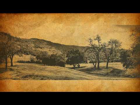 Dušan Cvetković - Gena majku ljuto kune