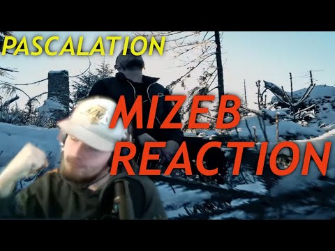 MIZEB WEISSER WINTER REACTION