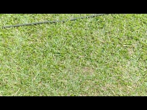 Sudesh & Ayushi Wedding Party @ Varkala Beach Resort