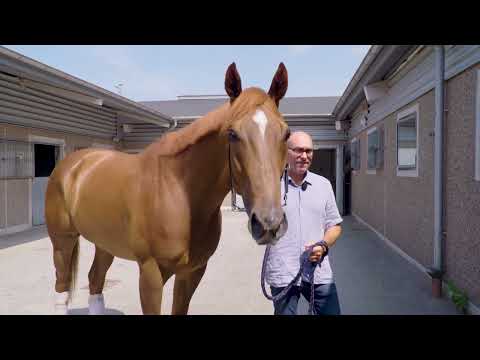 Profilen: Träffa galopptränaren Fredrik Reuterskiöld