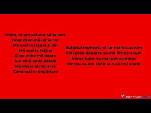 RAVA x Roxen- Niciodata Inapoi VERSURI