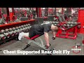 Chest Supported Rear Delt Fly