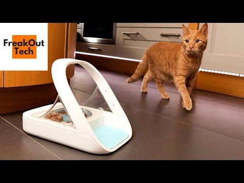 5 Incredible Inventions For Your Cat #2 ✔