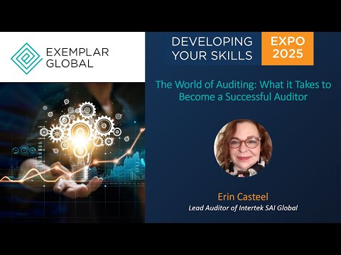 The World of Auditing: What it Takes to Become a Successful Auditor