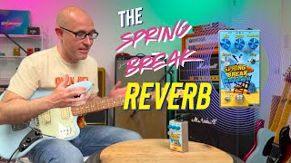 Video thumbnail for This Reverb Pedal BLEW My Mind 🤯 | Spring Break by Summer School Electronics by BuyOrBorrow Music
