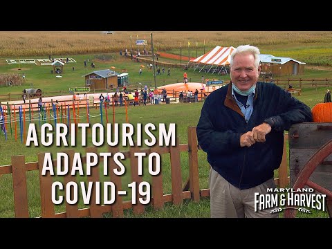 , title : 'How Agritourism Adapted to COVID-19 | Maryland Farm & Harvest'