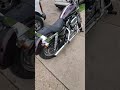 1200 Sportster Custom 2005 Very Nice Ride