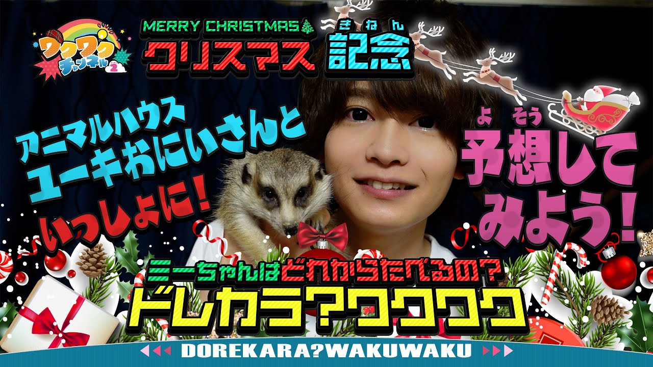 クリスマス特別開催！どれから食べるの？ドレカラワクワク▽アニマルハウスユーキおにいさんとミーアキャットのミーちゃんとあそぼう！｜ワクワクチャンネル シーズン2 #18