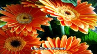 Con lo bien que te ves [HD] - Westlife Karaoke 2009 - When you&#39;re looking like that