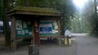 preview picture of video 'Carolina Hemlocks Campground'