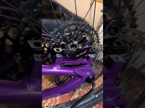 Canfield Yelli Screamy manufacturing issue