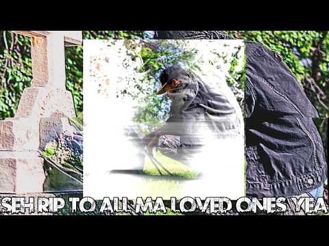 Dre V!b3s - LOVED ONES (Official lyric Video)