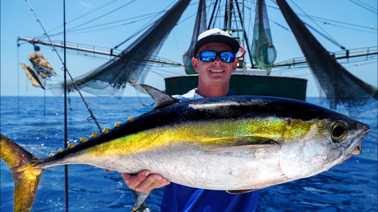 GIANT Tunas by SHRIMP Boats! Catch Clean Cook (Gulf of Mexico Deep Sea Fishing)