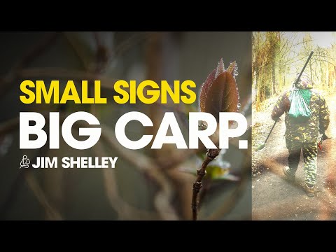 Small Signs, Big Carp! Jim Shelley