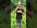 What Vegans Eat In Nature Shorts